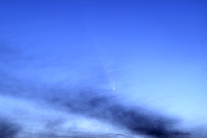 FOTO_ D. Rodríguez Struve (P. A. M.) Imatge del cometa